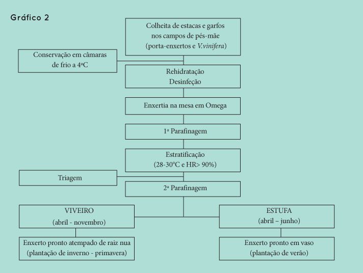 p78 fig2